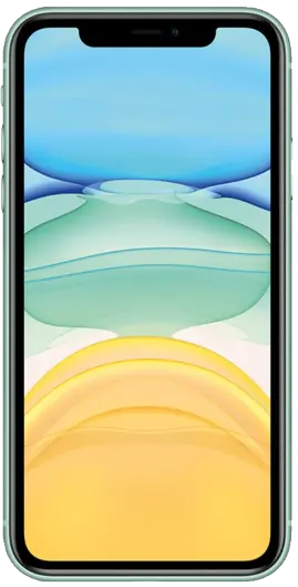 iPhone 11 64GB green
